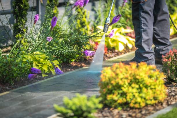 Mcelhattan, PA Pressure Washing Services Company
